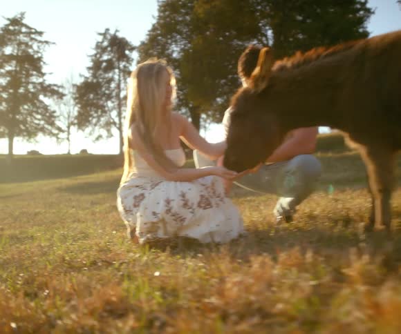 A young couple kneels in a sunlit meadow, with the woman gently feeding a baby donkey from her hand