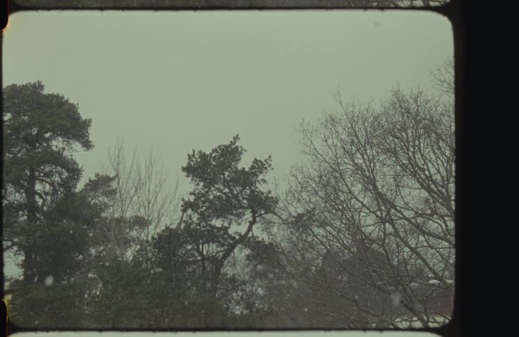 Authentic vintage film captures gentle snowflakes falling over a quiet winter forest