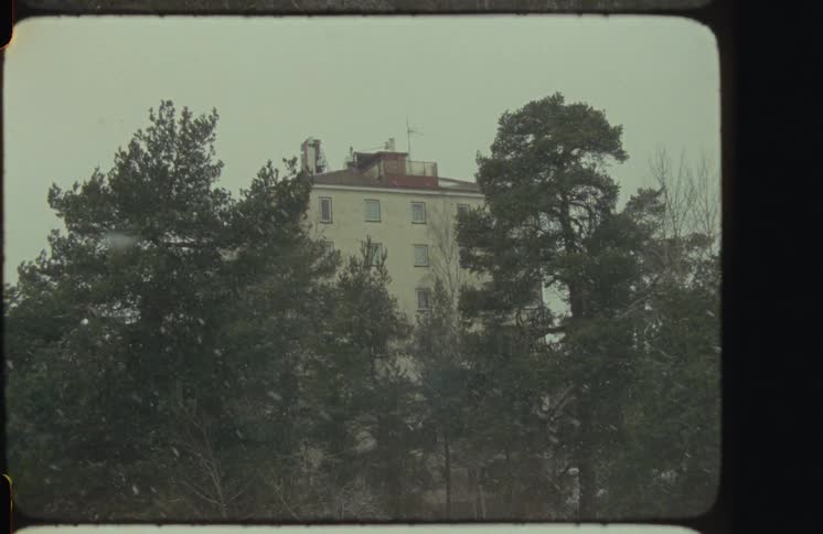 An old apartment building stands behind evergreen trees as snow gently falls on a gloomy day
