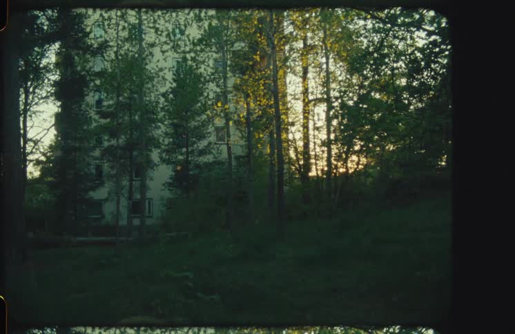 Archival film look of an abandoned building in a forest during a quiet, golden hour sunset