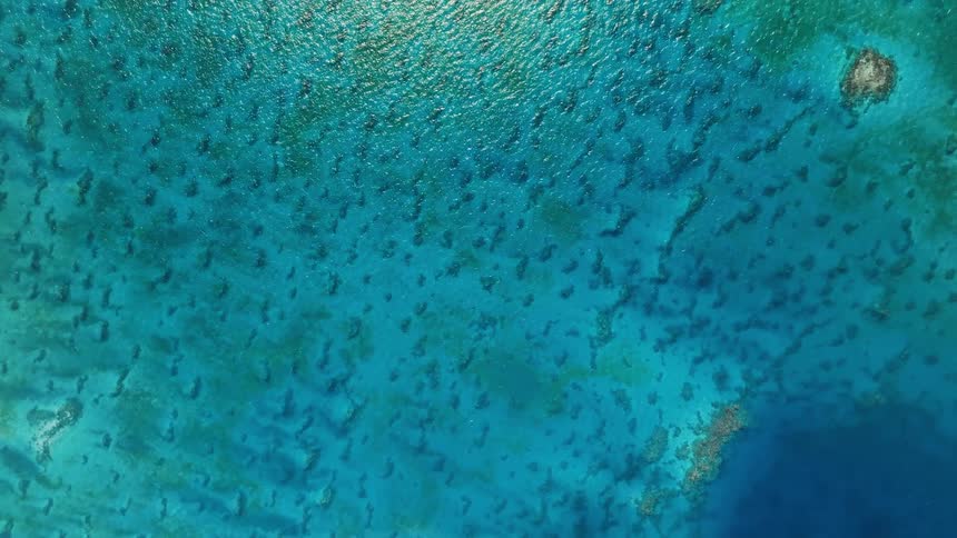 Serene top-down aerial view of a vibrant coral reef beneath the shimmering turquoise sea, with the camera slowly ascending