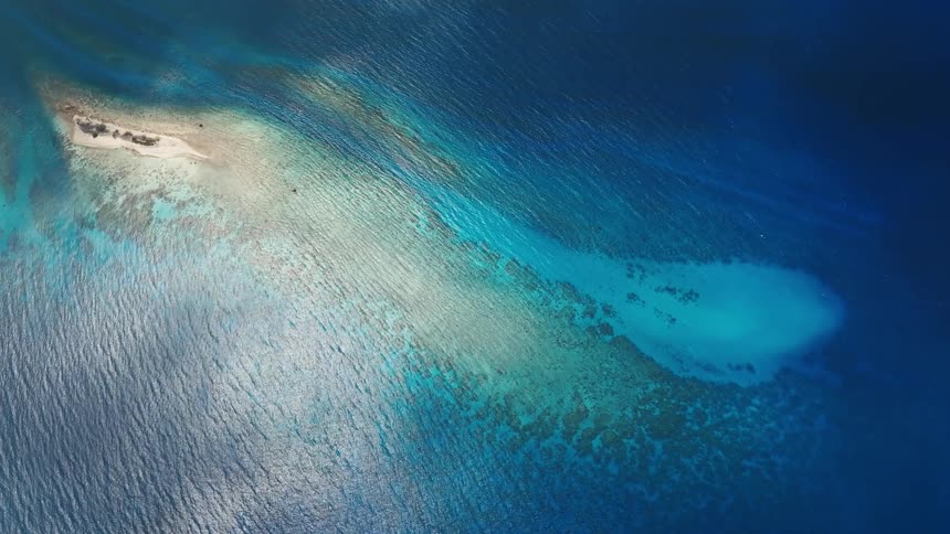 A serene aerial top-down view captures a remote tropical sandbar surrounded by a vibrant coral reef and the deep blue ocean