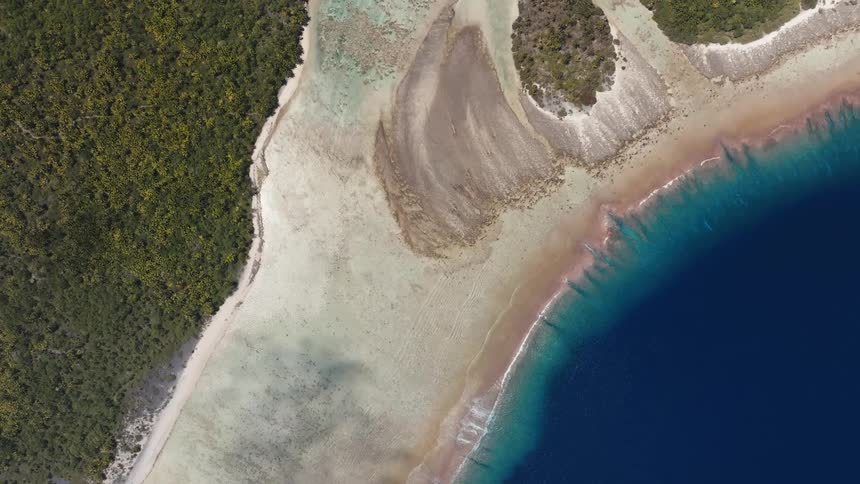 A slow aerial pullback from a top-down perspective reveals a stunning tropical coastline where lush green forest meets a sandy beach and deep blue ocean