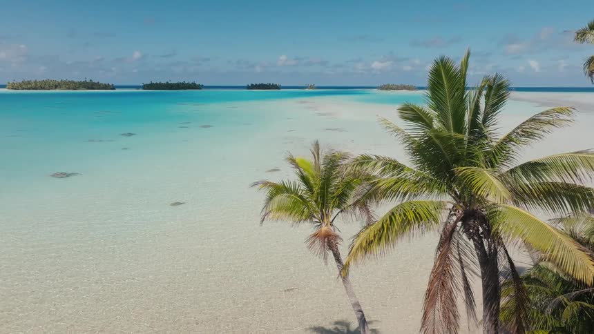 Cinematic aerial shot slowly ascends over lush palm trees, revealing a stunning tropical paradise with a vast turquoise lagoon and white sand beaches