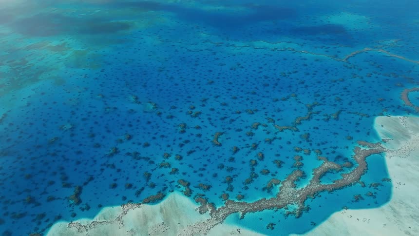 A stunning aerial perspective captures the vibrant turquoise waters and intricate patterns of a shallow coral reef