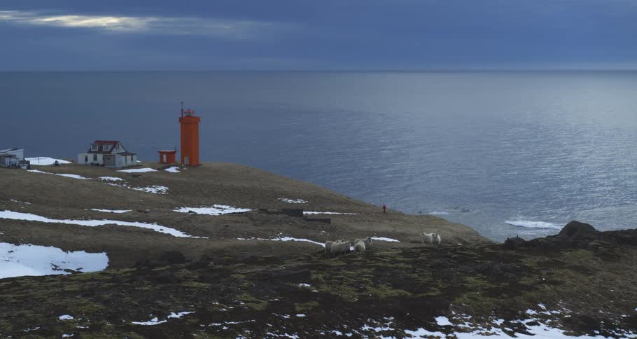 A striking orange lighthouse stands sentinel on a remote, snowy Icelandic coastline as sheep graze and a lone figure walks by the vast, moody ocean