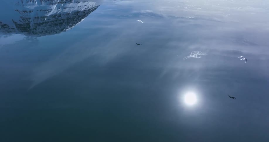 A serene slow-motion aerial follows birds flying gracefully over a tranquil, glassy fjord, with the bright sun and snowy mountains perfectly reflected on the water's surface