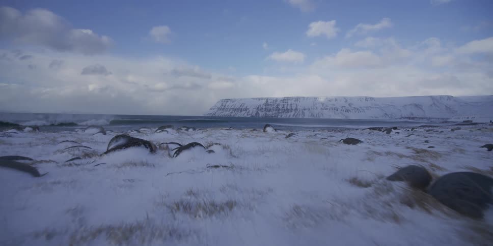 Drifting slowly across a windswept snowy beach towards the cold ocean with large snow-covered mountains in the background