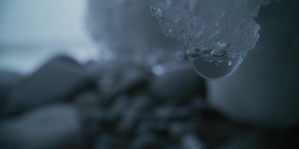 A single drop of water slowly falls from a piece of melting ice in this moody macro shot