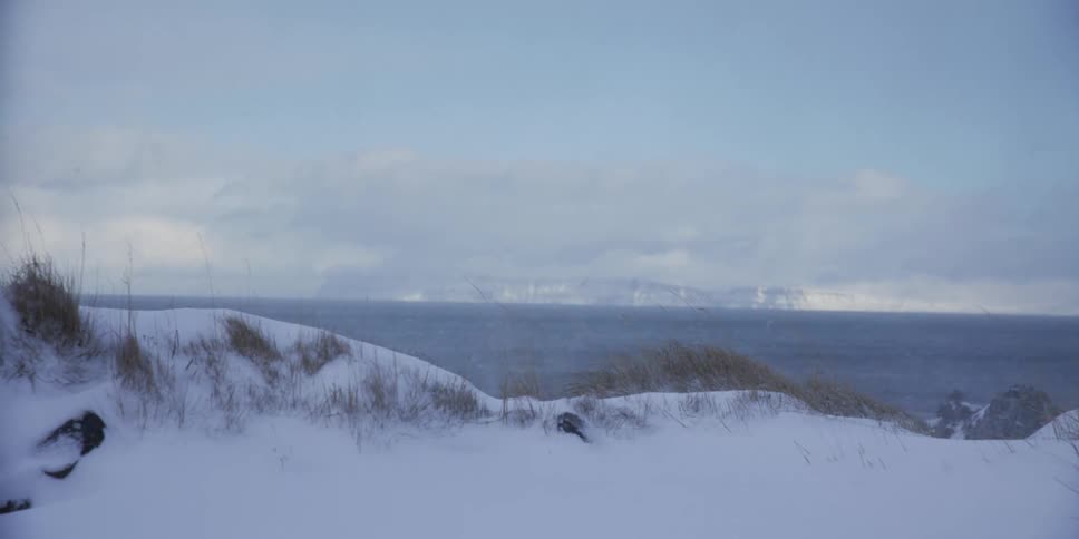 Wind sweeps across a snow-covered coastline, with dry grass swaying and a distant, misty island visible on the horizon