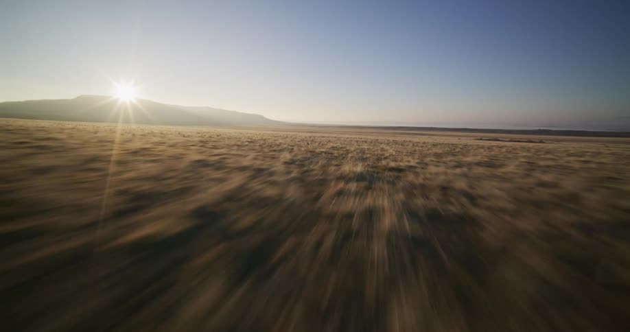 An immersive, high-speed flight over an endless golden prairie as the sun crests the distant mountains