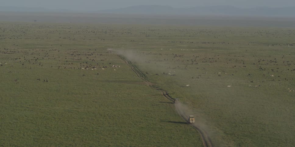 Aerial view of a plain dotted with animals and brush as a vehicle drives down a path towards mountains