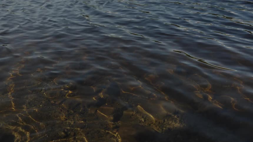 Soothing close-up of gentle ripples in clear lake water with mesmerizing sunlight patterns on the sandy bottom