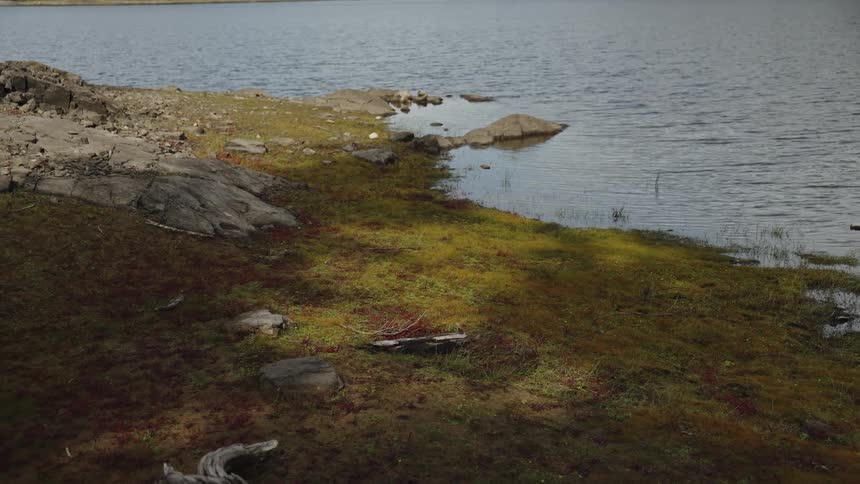 A tranquil, static shot of a rocky and moss-covered lake shore with gentle lapping water