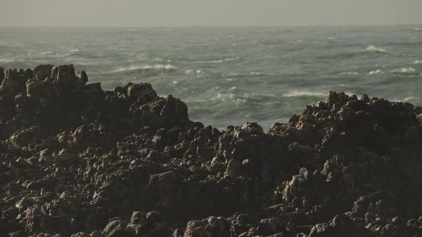 Windswept ocean waves roll behind a rugged, dark volcanic rock shoreline