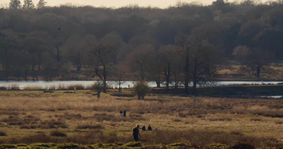 A wide, static shot of people enjoying a sunny afternoon walking, cycling, and relaxing in a vast park by a lake