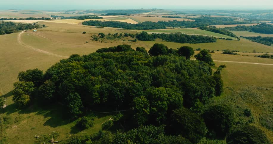 An aerial view slowly pulls back from a dense clump of trees on a hillside to reveal the expansive green English countryside