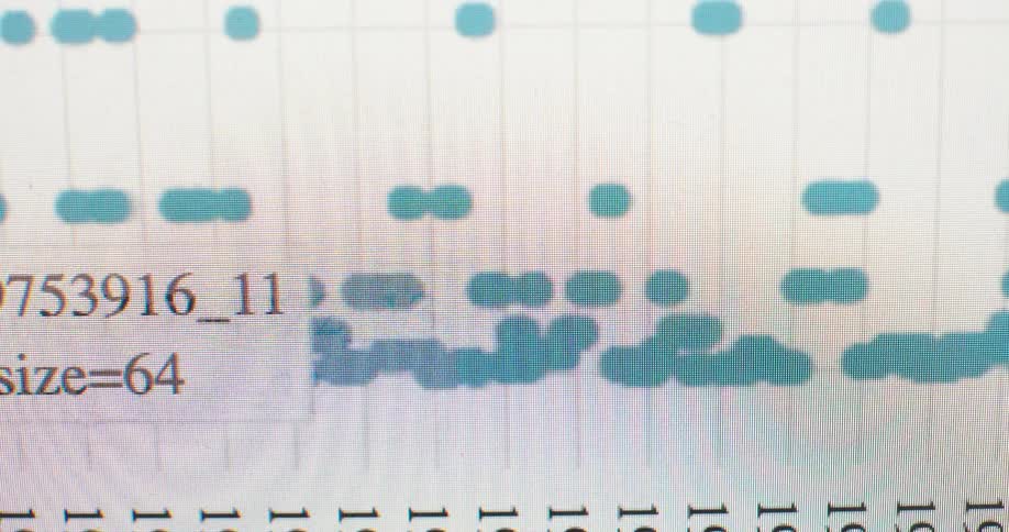 Macro shot of a mouse cursor navigating a digital graph, highlighting changing data parameters on a computer screen
