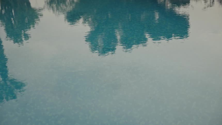 A serene shot shows the gentle ripples of a swimming pool reflecting the dark silhouettes of nearby trees