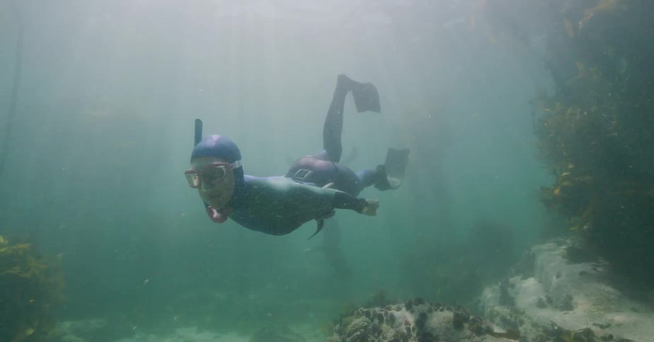 A free diver gracefully swims toward the camera through a sunlit kelp forest in slow motion