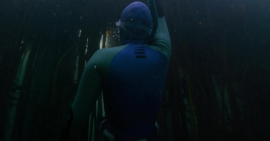 A free diver ascends from the dark depths of a dense kelp forest, pulling themselves up towards the beautiful sunlight filtering through the water's surface