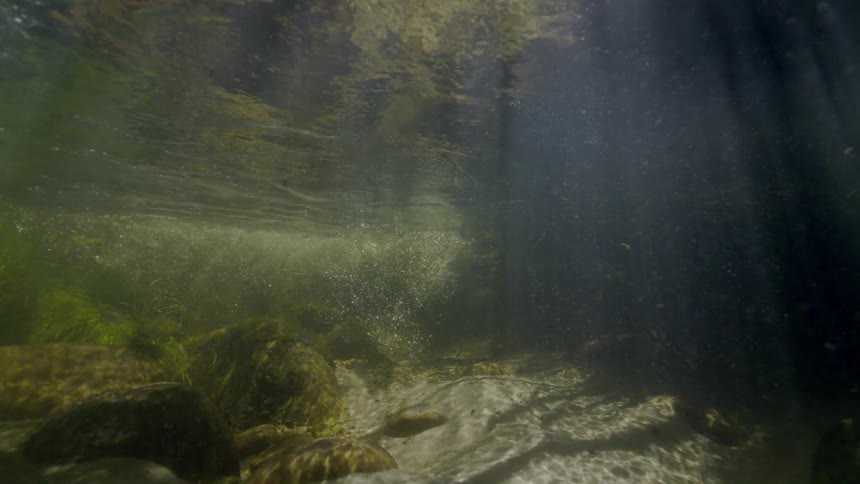 A tranquil underwater perspective of a shallow, clear stream with sunbeams piercing the rippling surface