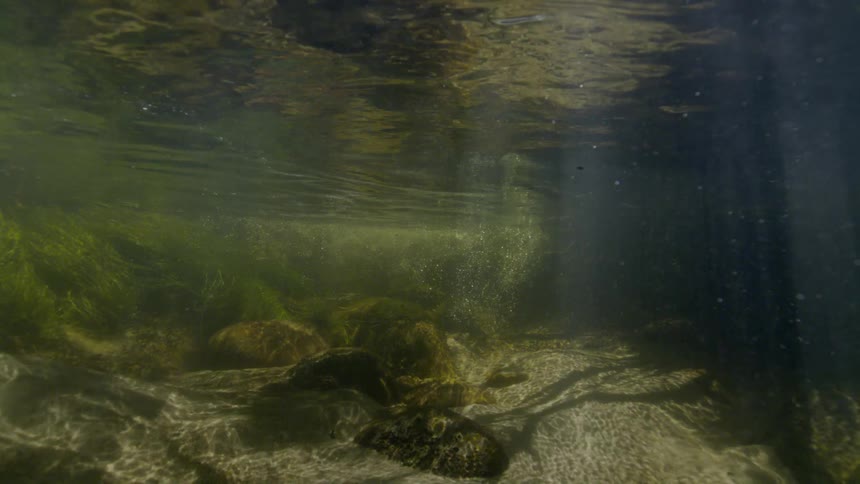 A serene underwater scene shows sunbeams dancing on the sandy floor of a gently flowing stream
