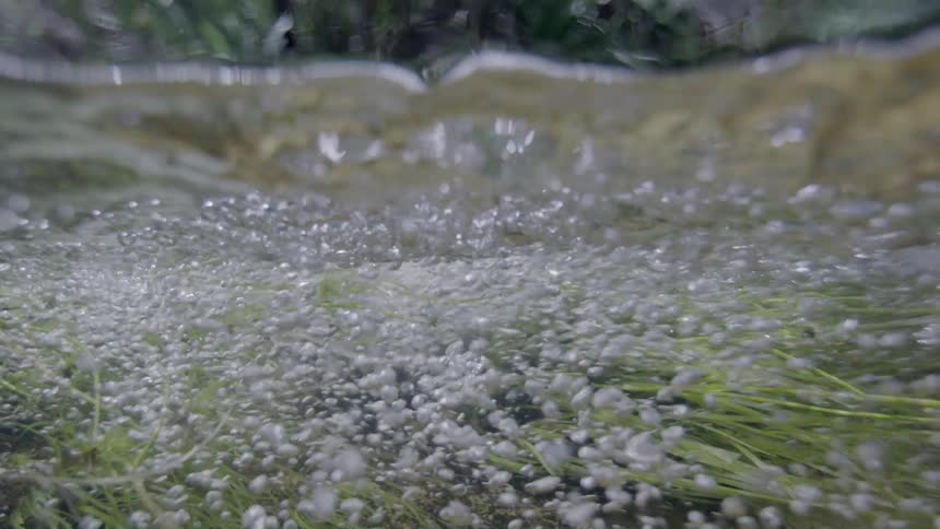 An immersive underwater view of a clear stream bubbling and flowing swiftly over green aquatic plants