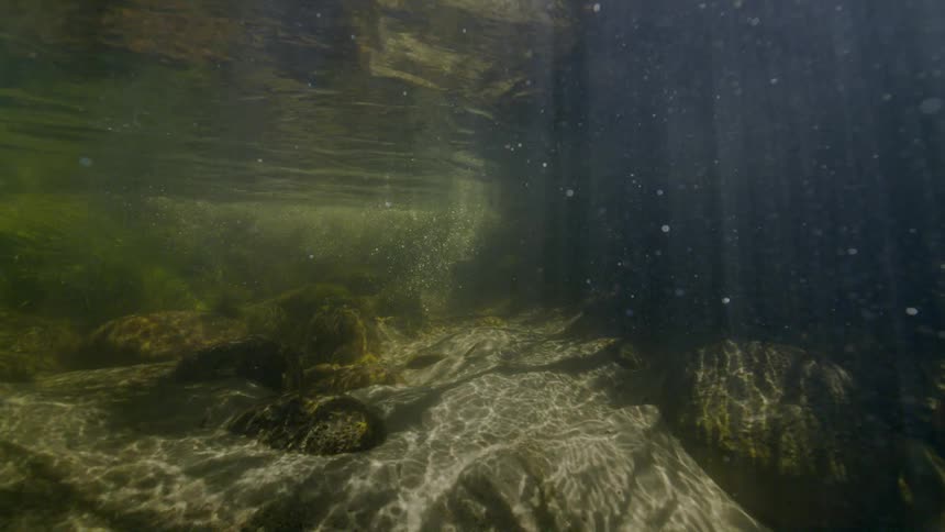 Sunlight streams through the water's surface, illuminating the sandy bottom of a tranquil river