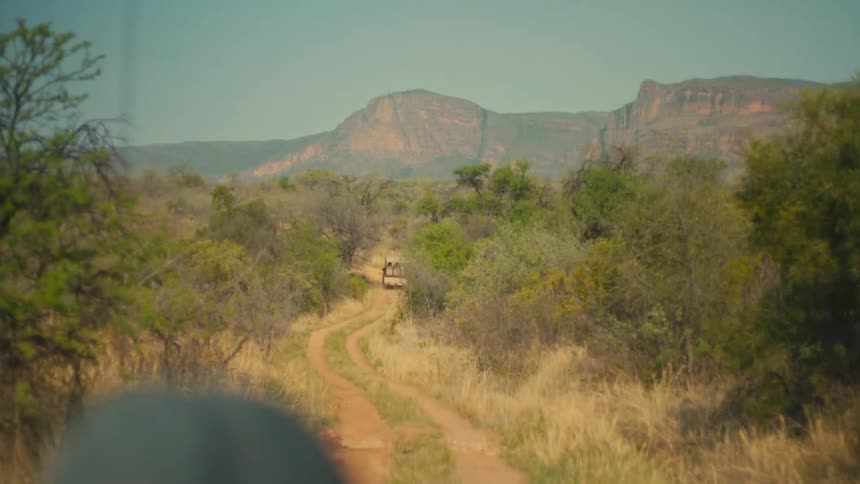 A point-of-view shot from a safari vehicle driving on a bumpy dirt road through the African savanna with mountains in the distance