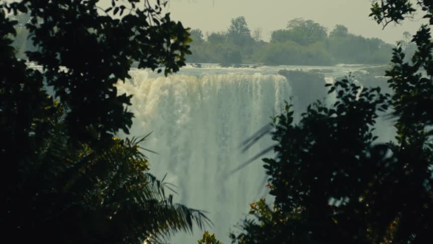 A majestic and powerful waterfall thunders in the distance, framed by silhouetted jungle foliage in the foreground
