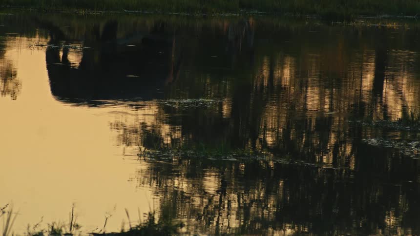 An artistic shot of an elephant's reflection drinking from a tranquil watering hole at golden hour