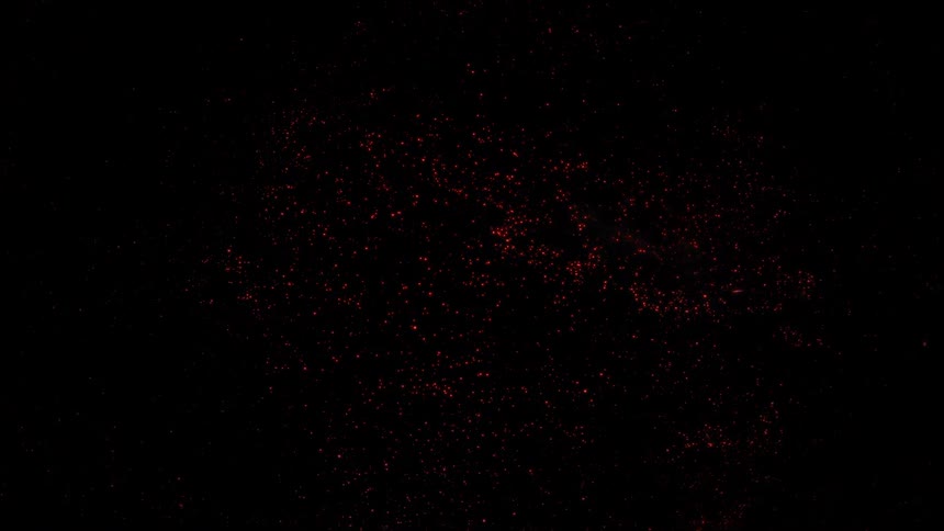 Abstract red glowing particles twinkle and slowly fade away to black