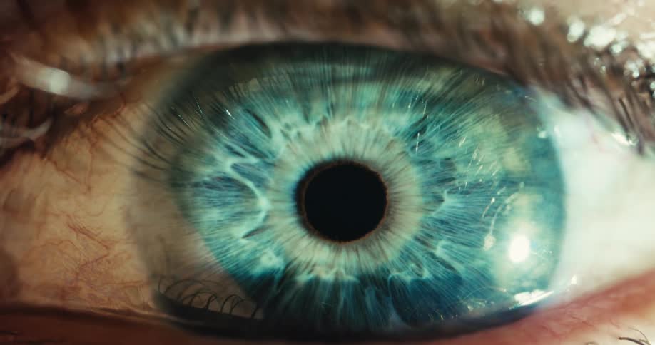 An extreme close-up macro shot of a vibrant blue human eye shows the iris and pupil reacting to changes in light