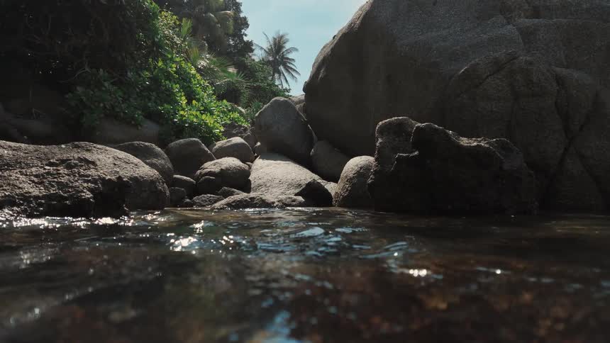 Sunlight glints on the surface of a tranquil stream flowing through a rocky, tropical landscape