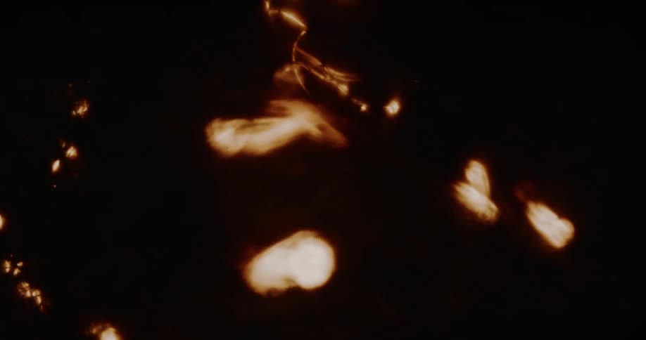 Warm, out-of-focus light reflections shimmer and dance against a dark background