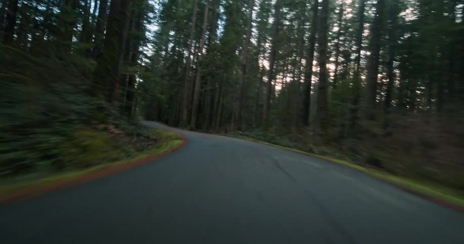 A thrilling first-person perspective driving at high speed down a winding road through a dense, dark forest