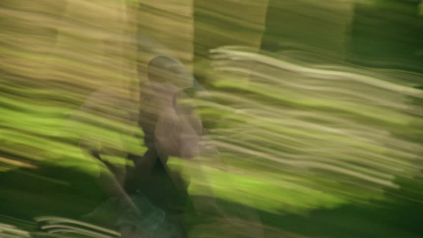 An artistic, motion-blurred perspective of a man running through a lush, green forest