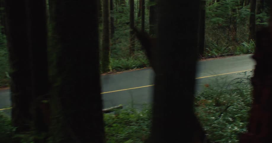 Tracking shot of a woman running along a wet road through a lush, green forest