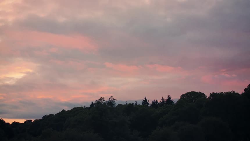 Calm sunset with pink clouds drifts over a dark forest silhouette