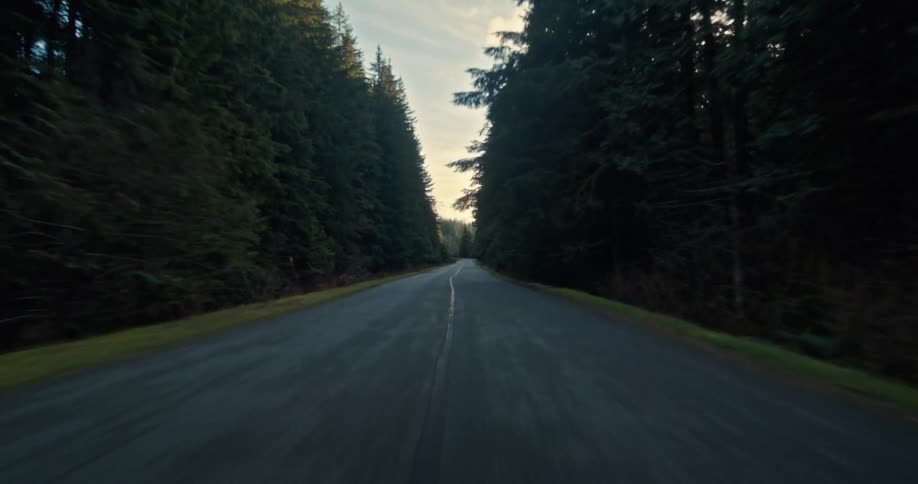 A cinematic point-of-view shot driving down a remote road through a dense, tree-lined forest towards the sunset