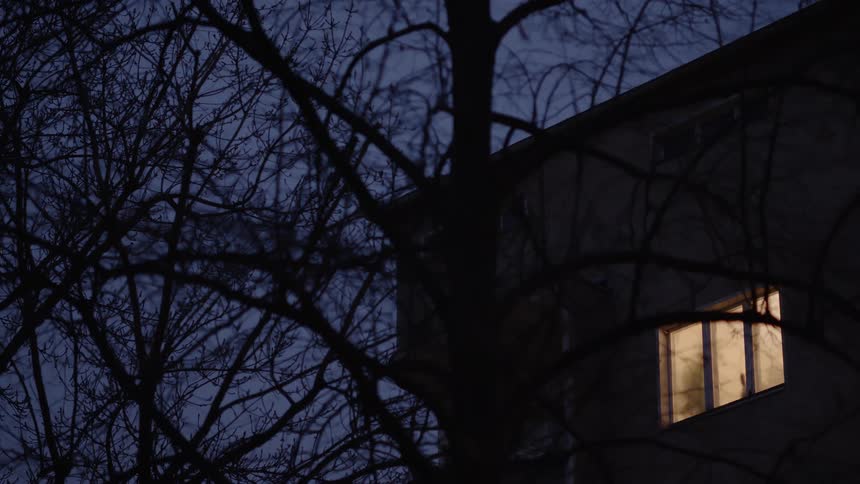 A lone illuminated window glows warmly against the dark facade of an apartment building at night, viewed through the silhouette of bare trees