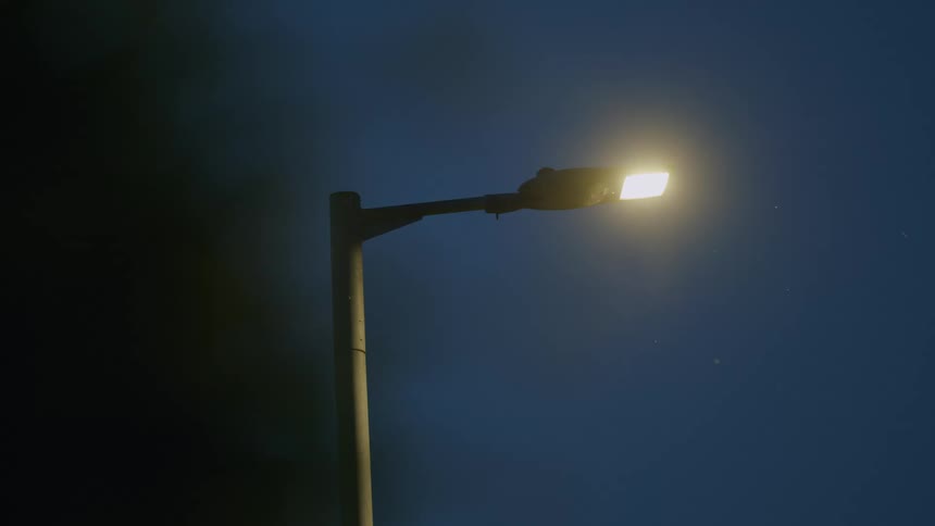 A street lamp glows brightly against the deep blue twilight sky, illuminating tiny insects flying around it