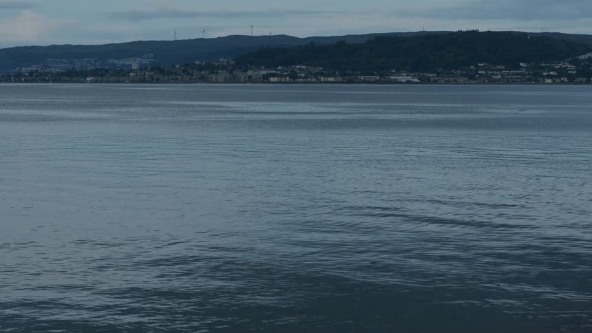 A dolphin breaches the surface of calm coastal waters with a distant town on the horizon