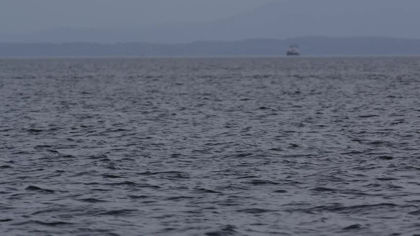 A distant cargo ship sits on the horizon of a vast, choppy ocean under a grey, overcast sky