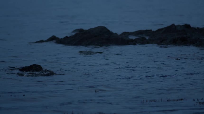Static shot of dark blue ocean water calmly flowing over rocks at dusk