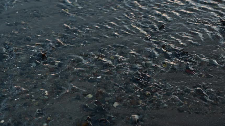 A serene, close-up view of clear water gently flowing over a dark, sandy stream bed with small pebbles