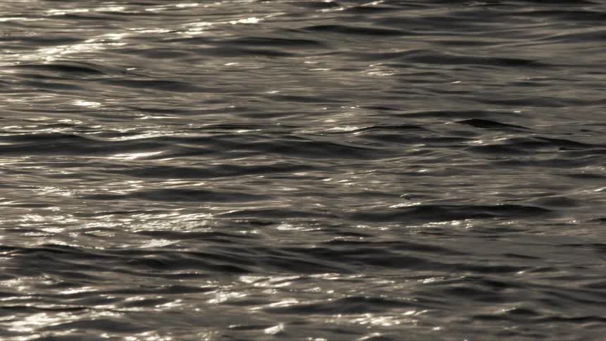 A mesmerizing close-up of dark, gentle ocean waves shimmering as they catch the light