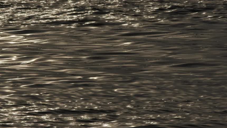 Golden sunlight reflects off dark, gently rippling water in a mesmerizing pattern