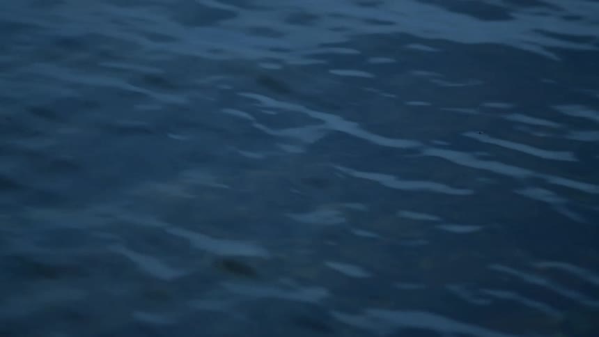 A close-up shot of a dark blue water surface with gentle ripples